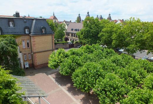Wolfsthalplatz